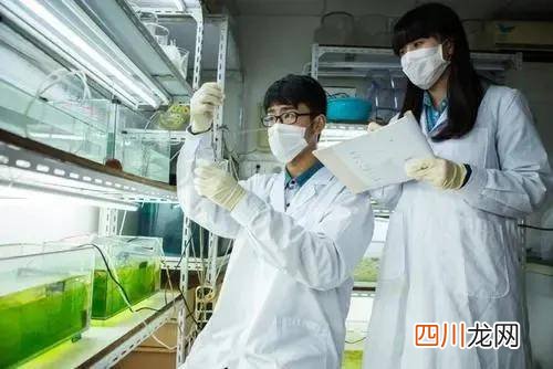 了解生物工程未来的发展 生物工程专业就业方向及前景如何