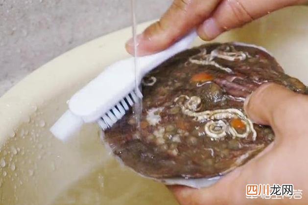 扇贝肉的正确清理 扇贝肉怎么处理干净