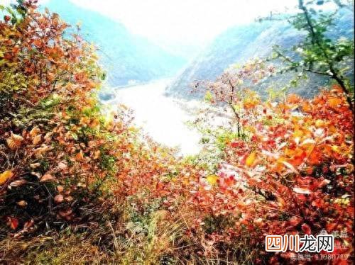嘉陵江有关典故 嘉陵江畔是什么意思