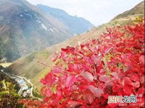 嘉陵江有关典故 嘉陵江畔是什么意思