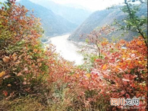 嘉陵江有关典故 嘉陵江畔是什么意思