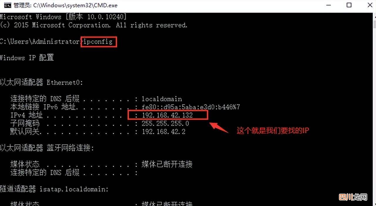 w10系统查看ip地址的技巧 win10电脑ip地址在哪里看