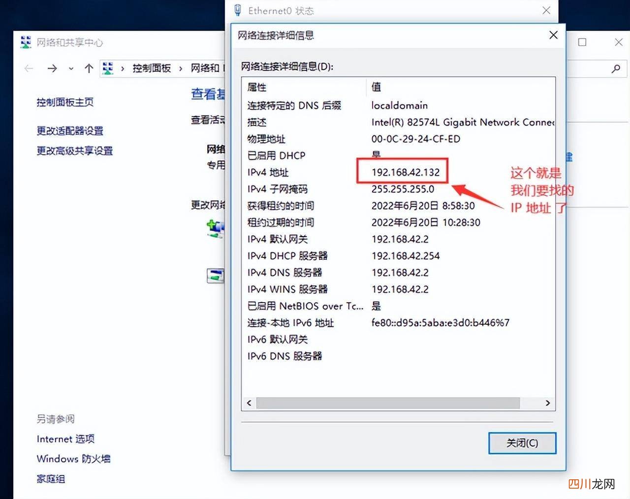 w10系统查看ip地址的技巧 win10电脑ip地址在哪里看