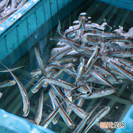 养殖的销售渠道 养殖的销售方法