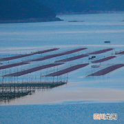 海川的养殖方法有哪些 海川的养殖方法