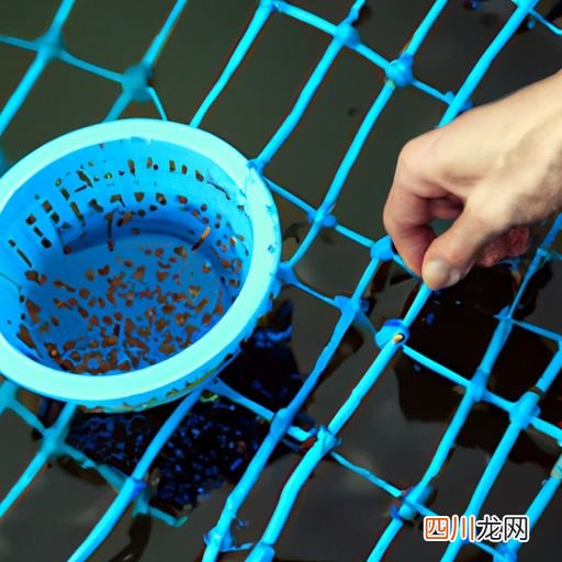 家养香料植物 香料的养殖方法