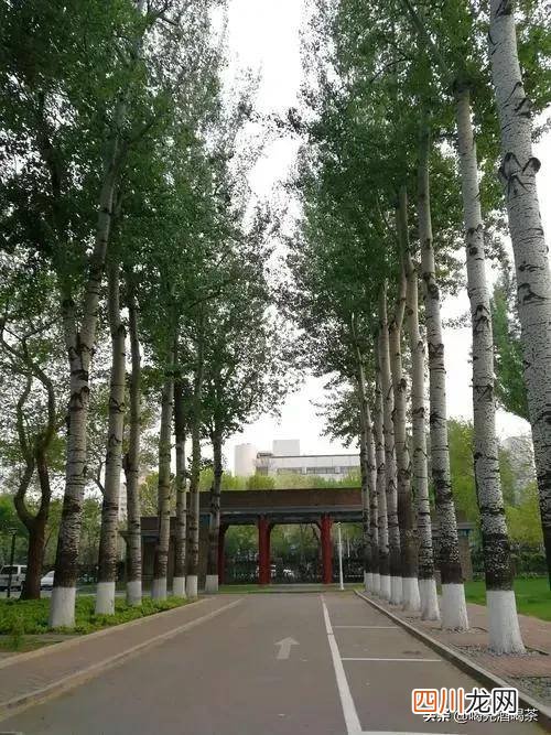 比较热门的专业推荐 农业大学都有什么专业
