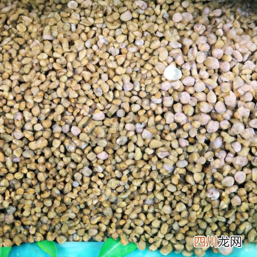 饲料鱼有营养价值吗 鱼的饲料有什么作用？