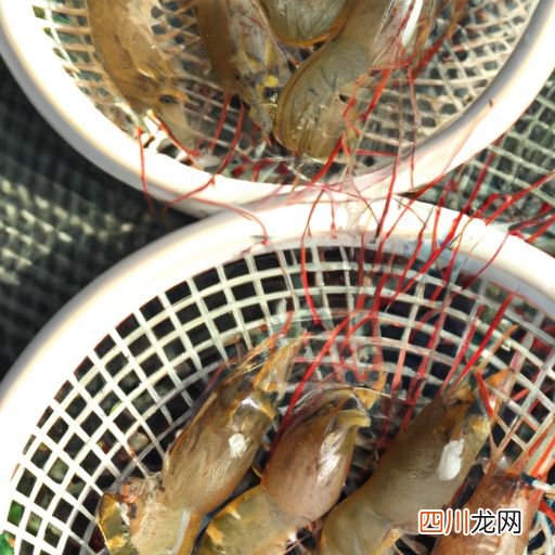 四月份有虾吗 浙江五月份有什么虾？