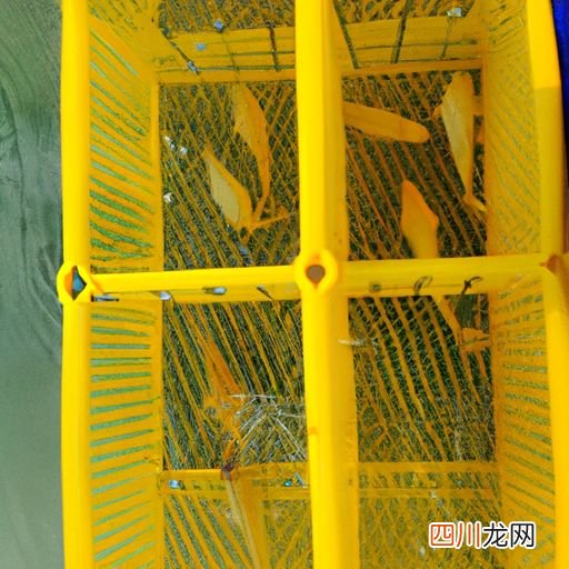 淡水养鱼的网箱都有什么样的 养鱼网箱什么材质好？