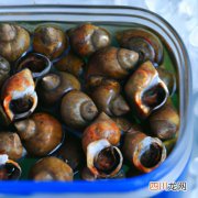 海螺罐头怎么吃 冻玉螺罐头怎么吃？