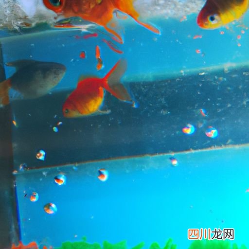 喂鱼用什么料好 养什么鱼不用去喂料？