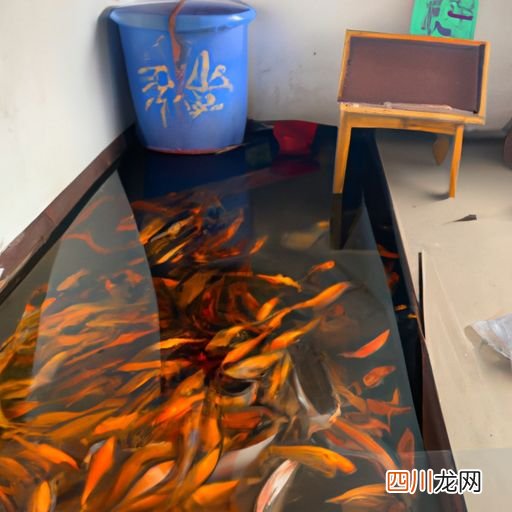 17亩鱼塘可以养什么 15亩鱼塘养殖什么？