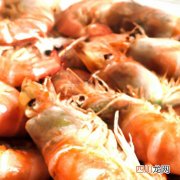 青虾转肝期 虾转肝期是什么意思？