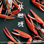 永宁青虾基地 永宁镇有什么虾图片？