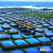 什么是海洋牧场,为什么要建设海洋牧场 海洋牧场有什么作用？