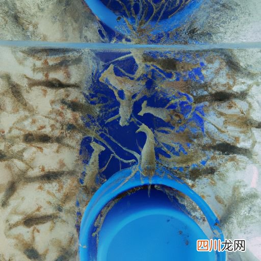 养青虾需要什么条件和技术 青虾养殖需要喂什么？