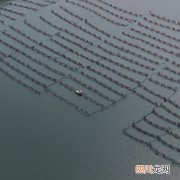 网箱养殖是什么意思 湖泊网箱养殖是什么？
