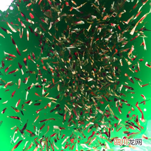 三百亩鱼塘如何养鱼 30亩鱼塘养什么鱼？