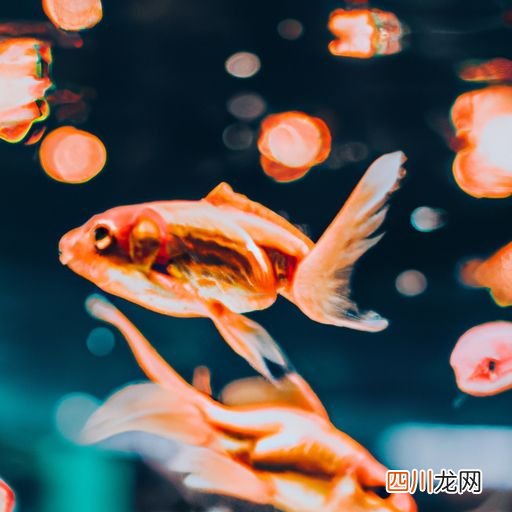 黄鱼是一种鱼吗 广东叫黄鱼是什么鱼？