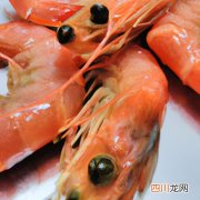 虾的粪便在哪个部位 虾正常的粪便什么样？
