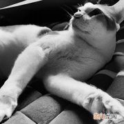 什么叫偷停 偷死停是什么意思啊？