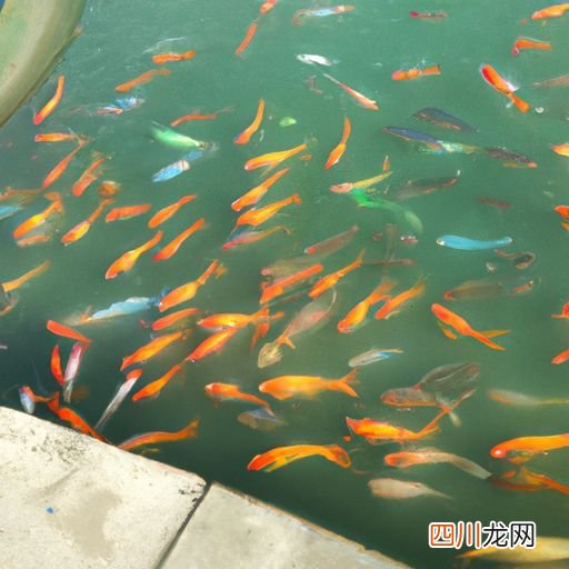 鱼塘水质颜色的区别图片 鱼塘的水什么颜色好？
