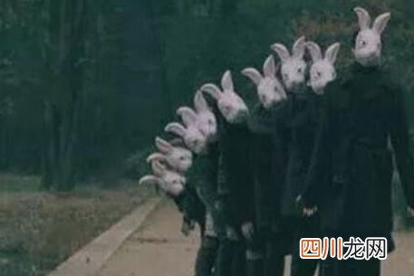 美国杀人兔事件 世界上有兔人吗