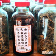 非泼罗尼是农药吗 什么农药可以杀罗非？
