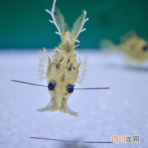 养草鱼配养其它鱼 草鱼搭配什么鱼养殖？