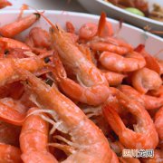 河虾烂鳃严重怎么办 虾子烂鳃是什么原因？