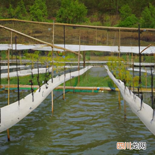 水产种植有哪些 水产养殖苗种是什么？
