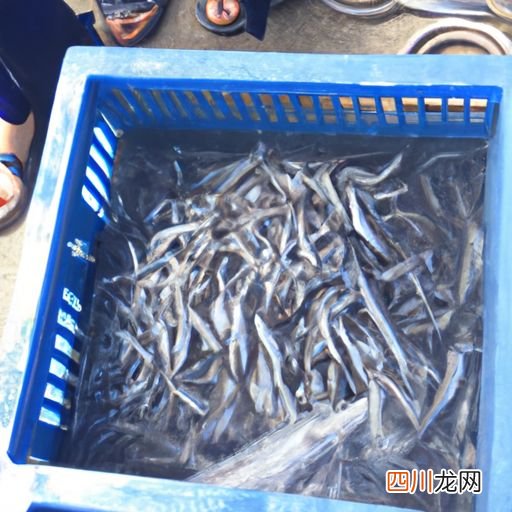大沙河有什么鱼 沙子口港都有什么鱼？