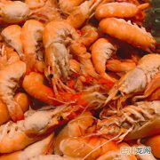 俄罗斯最大海鲜批发市场 俄罗斯出产什么海鲜？