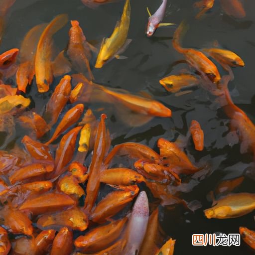 养鱼水质发黄用什么药 鱼池水发黄用什么药？