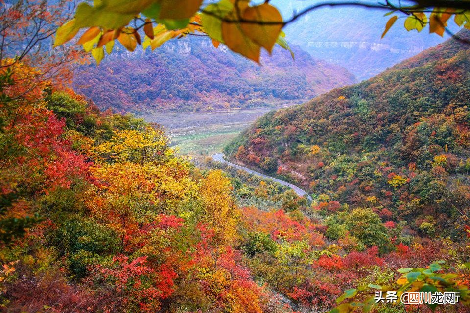 河南十大旅游景点排行榜 河南旅游景点排名前十名