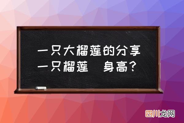 一只榴莲(身高？ 一只大榴莲的分享