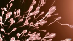 男性生殖感染怎么办？男性生殖感染容易导致不育