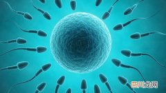 懒惰男性不育应该做什么样的筛查呢？