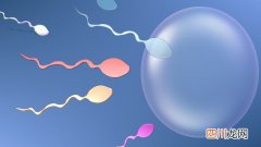 精子畸形一定会导致胎儿畸形吗？医生是这样说的！