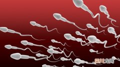 怎么知道精子有没有着床成功? 精子着床10天最明显的征兆是什么?