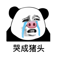 关于ps画笔图标的使用 ps画笔的圈不见了