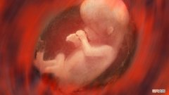 孕妇妊高症有哪些临床表现？妊高症会产生哪些危害？