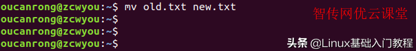 linux常用命令大全 linux给文件改名字的命令