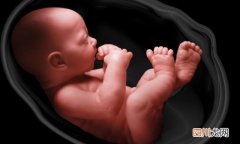 哪些检查可预测胎儿身心健康？