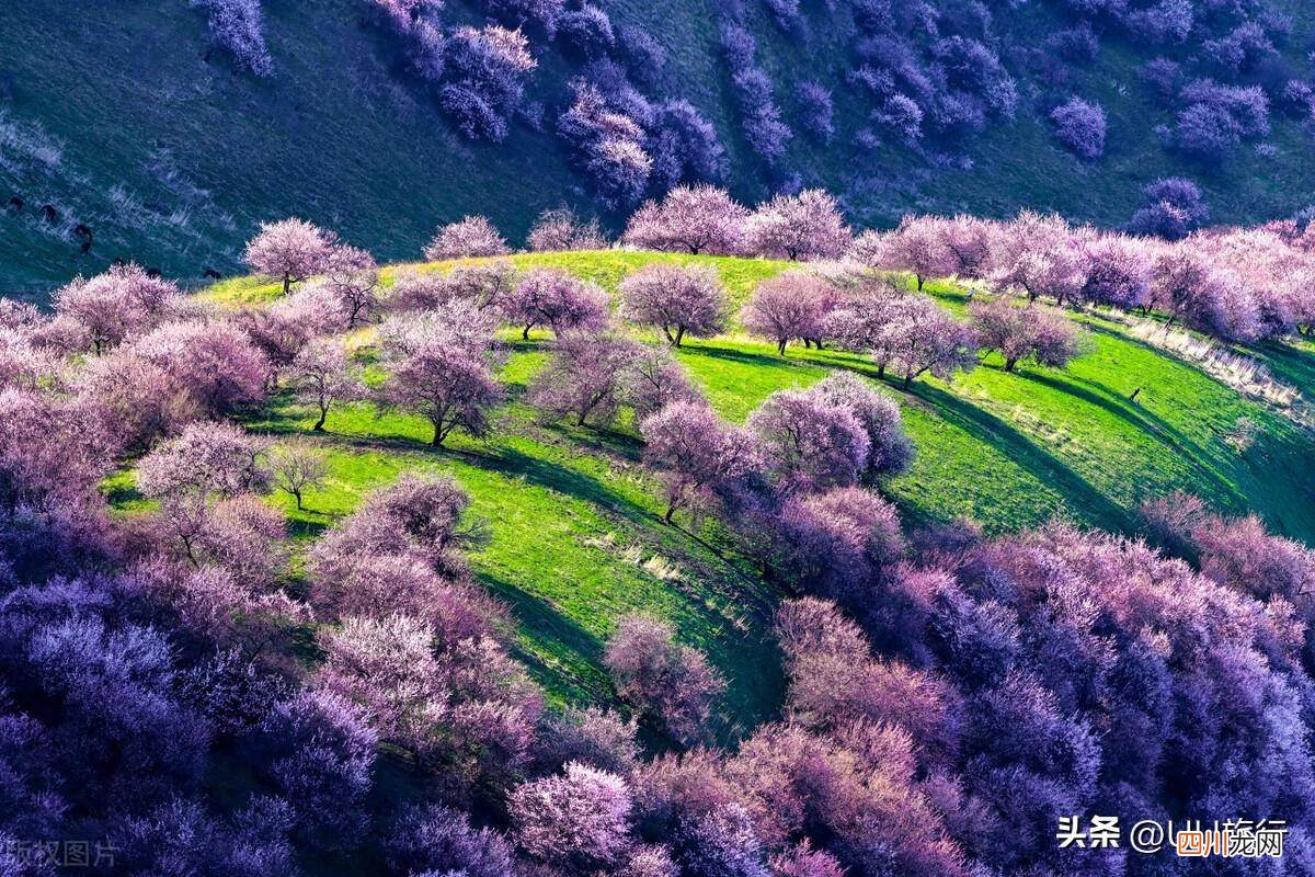 4月旅游国内最佳去处 四月份旅游地最佳推荐
