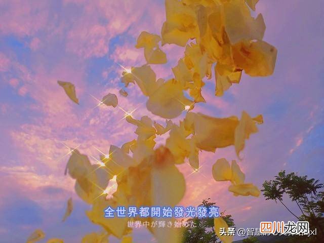 适合做个性签名的句子 感悟人生的个性签名大全