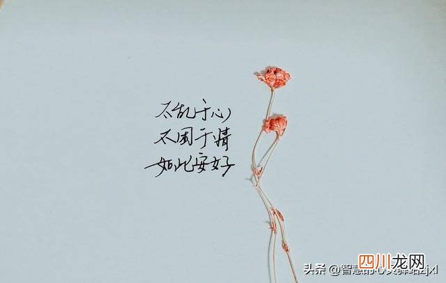 适合做个性签名的句子 感悟人生的个性签名大全