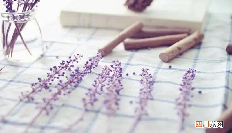 祝生意兴隆高情商句子 开业祝福语文案高级