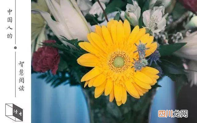 幽默又有深度的小故事讲解 搞笑哲理故事及感悟